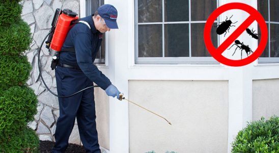 Çaldıran Bit İlaçlama böcek ilaçlama ve haşere kontrolü — ilaclama-tr.com